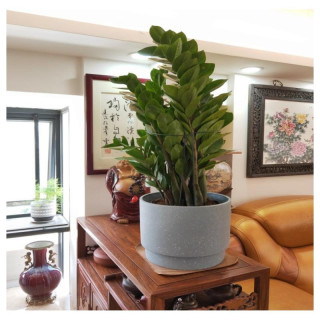 Virágok és növények alátámasztása - 25x40 cm