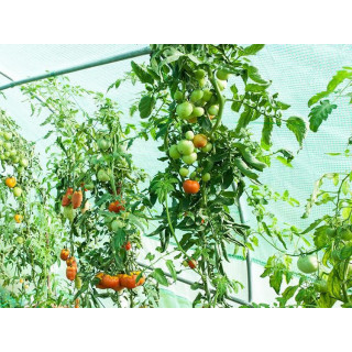 Megerősített fólia Gardeni alagúthoz szerkezet nélkül 2x2m