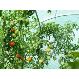 Megerősített fólia Gardeni alagúthoz szerkezet nélkül 2x2m