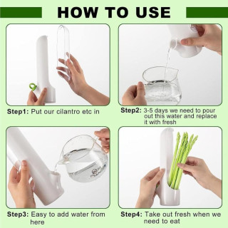 Tartály friss fűszernövények hűtőszekrényben való tárolására