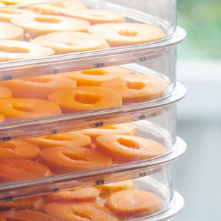 Szárítógép gombákhoz, gyümölcsökhöz és zöldségekhez