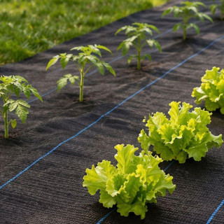 Tuberkulózis elleni fekete UV agrotextília 90 g - 1,6 x 100 m